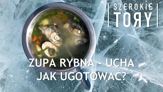 Zupa rybna  ucha Jak ugotować [upl. by Slohcin977]