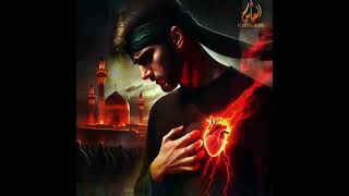 Dil hai karbala mai Dil Mai karbala hai  Meesum Abbas noha karbala iraq viral [upl. by Ob522]