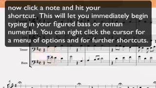 Sibelius Roman Numerals Shortcuts [upl. by Belldame]