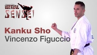 Vincenzo Figuccio teaching kata Kanku Sho  Karate amp Relax June 2013 [upl. by Stichter915]