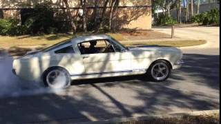 Revology Mustang 1966 Shelby GT350 Rear tire durability testing [upl. by Sesilu]