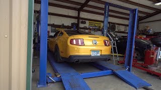 THIS Made My Mustang Sound SO MUCH BETTER [upl. by Triplett630]