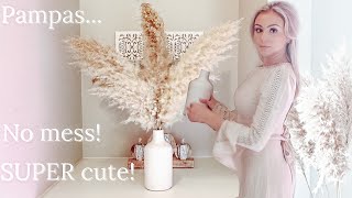 HOW TO Pampas Grass Prep amp Decorating [upl. by Urbannai885]