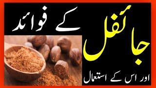 Jaiphal ke fawaid  Health Benefits of Nutmeg by hakeem zia shahid [upl. by Tiena]