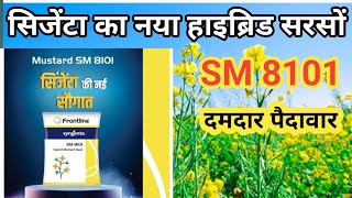 syngenta ka नया हाईब्रिड सरसोंsyngenta new hybrid mustardsyngenta new hybrid sarso pricesyngenta [upl. by Amles865]