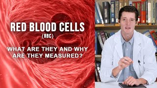 RED BLOOD CELLS RBC  what are they and why are they measured [upl. by Kassey]