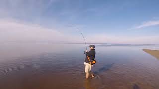 Redfish Trout And Flounder caught in Port St Joe Fl [upl. by Sternick19]