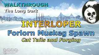 Interloper Walkthrough  Forlorn Muskeg spawn [upl. by Raleigh940]