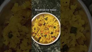 Poha for breakfast  Mini Vlog  Sister Diaries by Miri [upl. by Ressler]