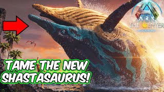 How To Tame The SHASTASAURUS In Ark Survival Ascended [upl. by Castera]