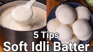 How to Make Soft Idli with 5 Basic Tips  Spongy Idli Batter with Wet Grinder  No Soda No Yeast [upl. by Steere]