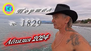 Абхазия2024 🌴 24 октября Выпуск №1829❗Погода от Серого Волка🌡вчера 19°🌡ночью 11°🐬море 213° [upl. by Ahsieni481]