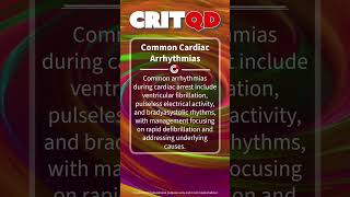 Common Cardiac Arrhythmias [upl. by Lust668]