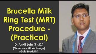 Brucella Milk Ring Test MRT Procedure  Practical [upl. by Salisbarry114]