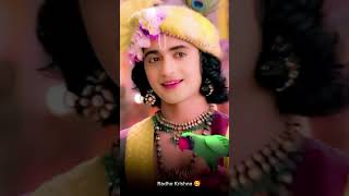 Radhe Krishna ko kon kon pashn karte hoto like karo and subscribe karo comment and support 👸🥺🥀 [upl. by Tasha]