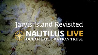 Breathtaking Biodiversity of Jarvis Island Revisited  Nautilus Live [upl. by Ttenrag]