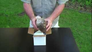 UNBOXING  MOREL MUSHROOM GROWING KIT [upl. by Leirud]