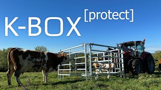 KBOX protect  sicher arbeiten mit Kälbern in der MutterkuhHerde [upl. by Peti]