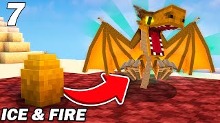 Jadopte mon premier bébé dragon de feu  Minecraft Ice amp Fire EP7 [upl. by Tench]