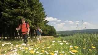 Travel Guide Rhineland Germany  Romantic Germany RhinelandPalatinate [upl. by Etselec485]