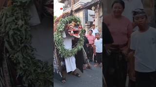 Hari raya galungan adik gia liat barong🤗 funny shortvideo [upl. by Leiuqeze]