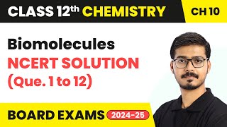 Biomolecules  NCERT Solution Que 1 to 12  Class 12 Chemistry Chapter 10  CBSE 202425 [upl. by Angelique]