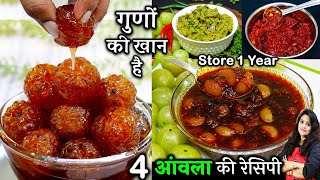 100 बीमारियों का 1 इलाजआँख बालचेहरा पेट बीपीशुगर के लिए गुणकारी Amla Ki Recipe  Amla ki Launji [upl. by Groh999]