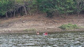 el pescador primitivo con tarraya [upl. by Ettari]