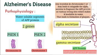 Alzheimers Disease Pathophysiology and complete explanation in Hindi [upl. by Kentiga156]