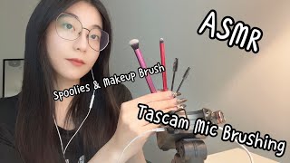 ASMR  Tascam Mic Brushing No Talking [upl. by Aierb]