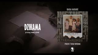 Baba Harare  Dzikama ft Culture Love [upl. by Trista]