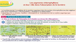 Les pigments chlorophylliens et leur rôle dans labsorption de la lumière SVT 1 BAC شرح بالعربية [upl. by Esaele234]