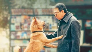 Hachi A Dogs Tale Full Movie Facts And Review  Richard Gere  Joan Allen [upl. by Sharla]