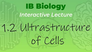 IB Biology 12  Ultrastructure of Cells  Interactive Lecture [upl. by Schreck]