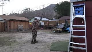 Whiskey Flats Kernville Week 30 lb Longbow Target Practice Valentines Day with Roscoe the bear [upl. by Dielle465]