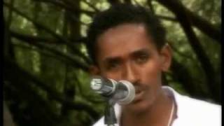 Oromo Music Hacaaluu Hundessa [upl. by Zoubek391]