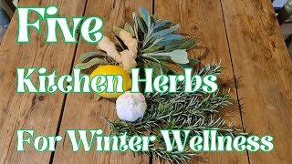 FIVE Kitchen Herbs for Winter Wellness [upl. by Ayaet]