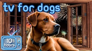 July 4th Dog TV  Firework StressReducing Videos to Help Dogs Relax [upl. by Johm]