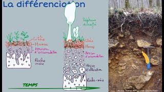 Le sol et sa formation [upl. by Adore144]