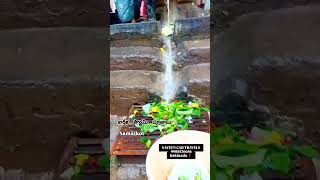 Samalkot 🙏 omnamahshivay samalkot DevotionalTimedevotional hindutemple youtuber travel [upl. by Adran]