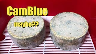 Making CamBlue Cheese [upl. by Roane]