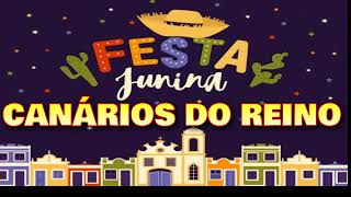 A famosa Playlist de toda quadrilha  Canários do Reino 42min19s [upl. by Urias]