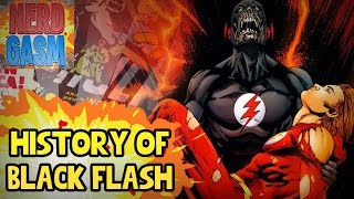 Who is The Black Flash  History of Black Flash [upl. by Herbert]