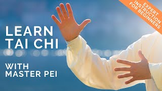 Tai Chi for Beginners  Best Instructional Video for Learning Tai Chi  Lesson 1 [upl. by Rolyab]