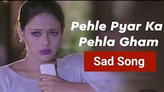 Pehle Pyar Ka Pehla Gham  Jugal Hansraj  Mayuri Kango  Kavita Krishnamurthy  Papa Kehte Hain [upl. by Gale959]