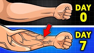 10 Key Habits For VEINY Arms [upl. by Ikir]