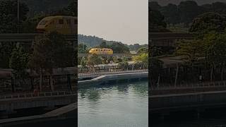 Sentosa Monorail shortvideo sentosasingapore sentosa [upl. by Ardnahsal]