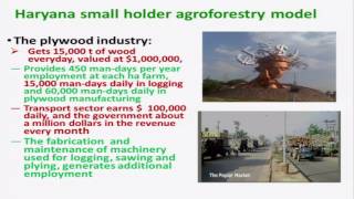 Efforts in scaling up the adoption of agroforestry in India [upl. by Behre]