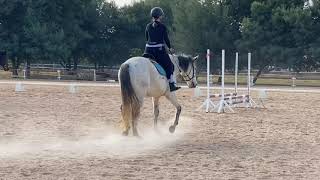 My first time falling off a horse  attempting to canter [upl. by Egas]