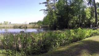 SOLD Lot 226 Olde Canal Loop Pawleys Island SC [upl. by Stanislas]